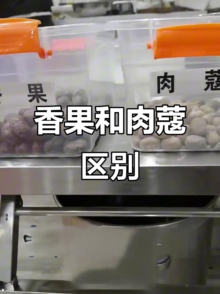香果与肉蔻的区别,卤菜必备技巧大揭秘