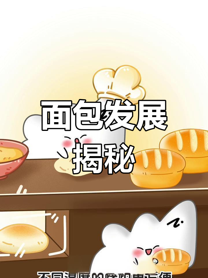 面包的起源与演变,令人惊叹!