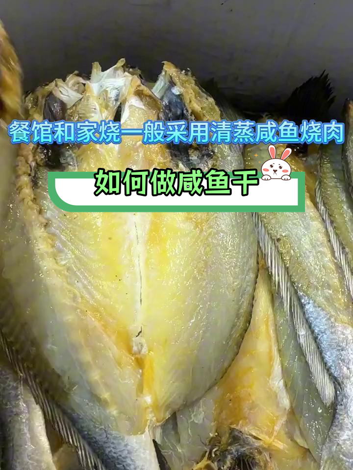 咸鱼干的制作技巧与常见种类
