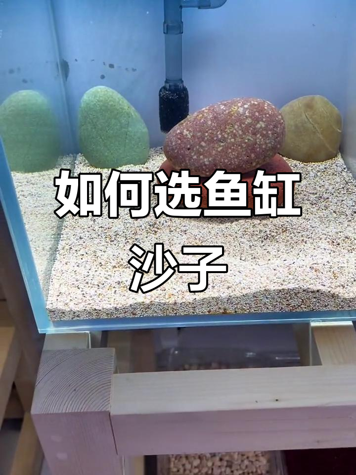 鱼缸造景沙选择指南：如何挑选适合的沙子