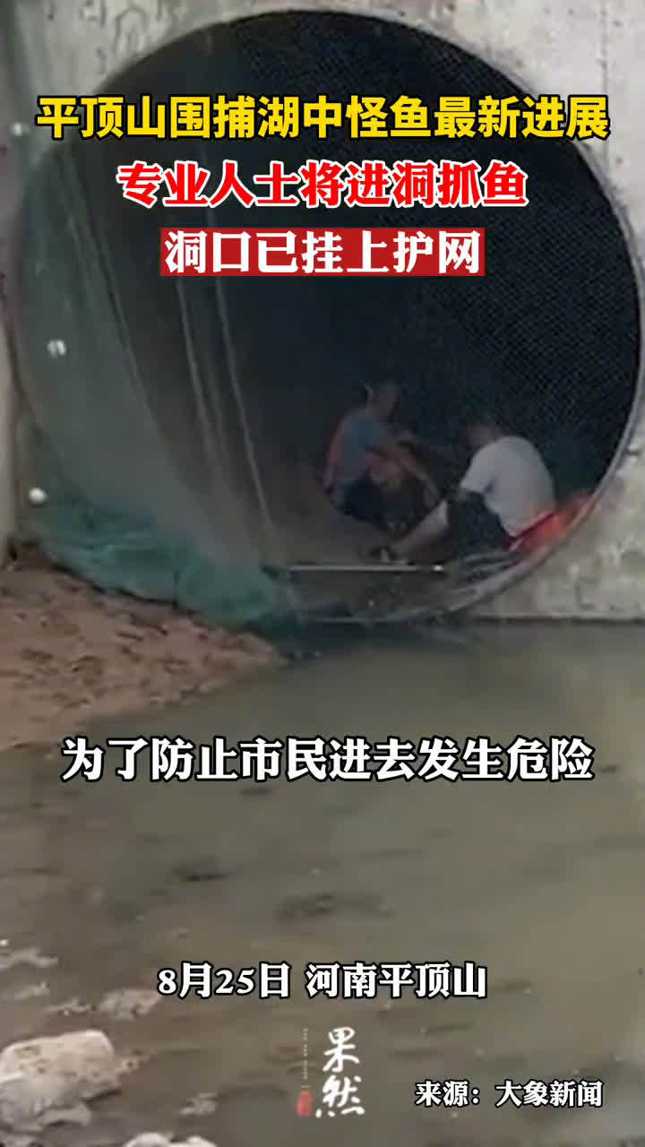 汝州已基本锁定鳄雀鳝藏身处「直击汝州捕捞鳄雀鳝现场:20万立方米湖水抽干,怪鱼藏身U型涵洞