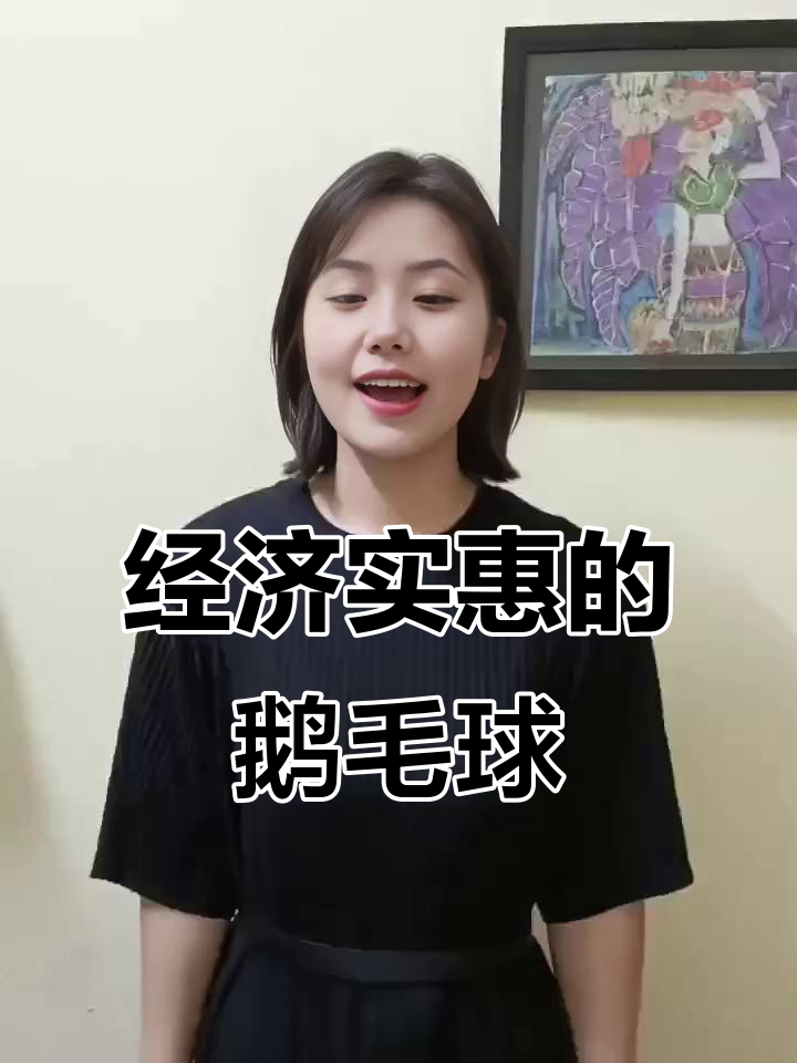 预算有限也能体验鹅毛羽毛球，白金A款值得入手