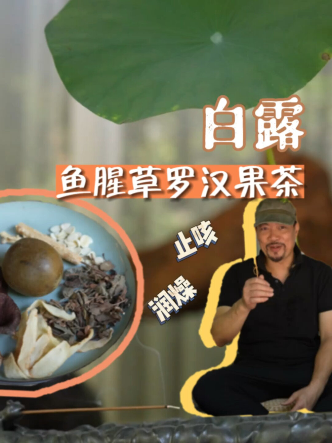 白露|鱼腥草罗汉果茶|止咳润喉