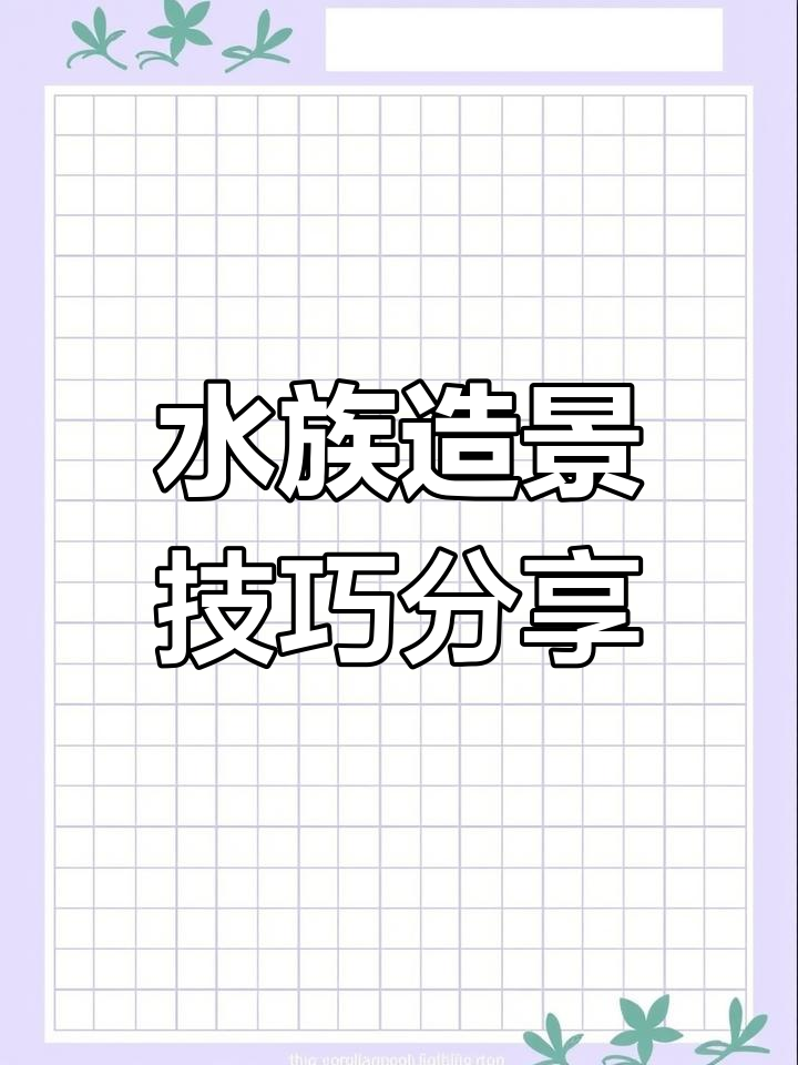 鱼缸造景全攻略:水陆、热带雨林、草缸,原生大缸开箱实操