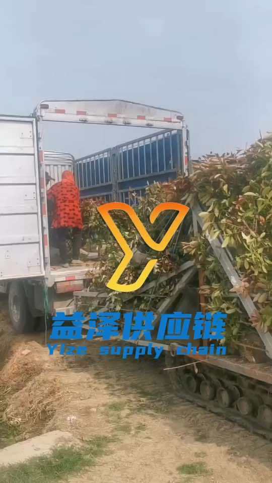 抓紧挣钱吧!每月最低保证2万。诚信经营质量第一 蔬菜原产地优选 绿色农副产品