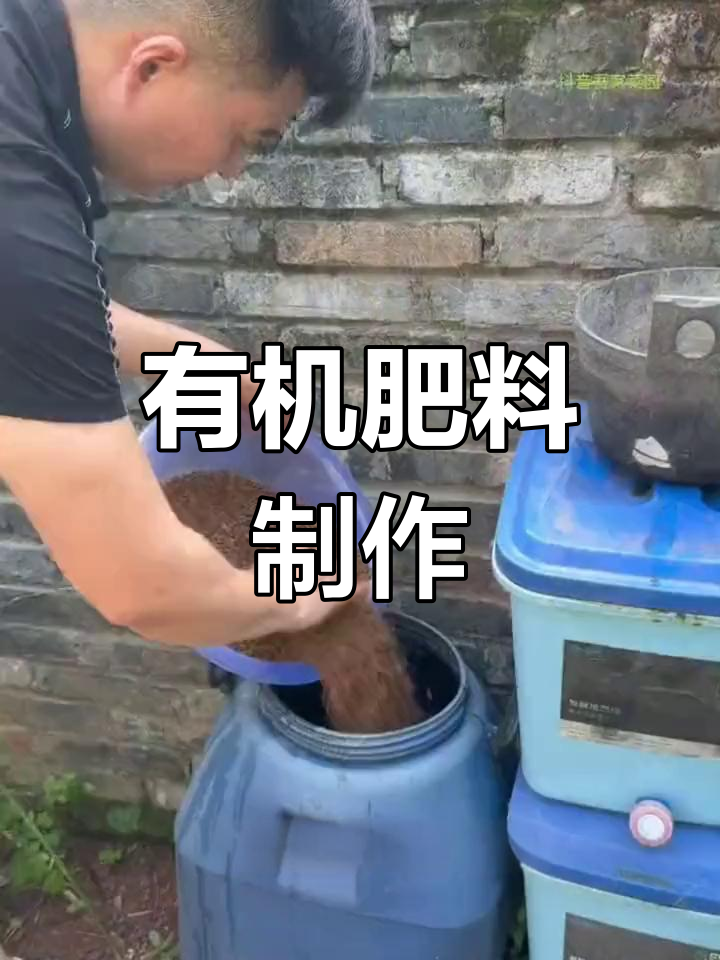 菜籽饼发酵成有机肥,猪粪牛粪都能用,种花养菜必备