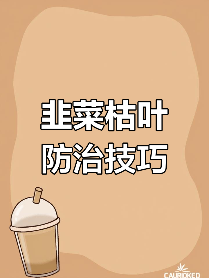 韭菜枯叶原因及防治方法:疫病与灰霉病的区别