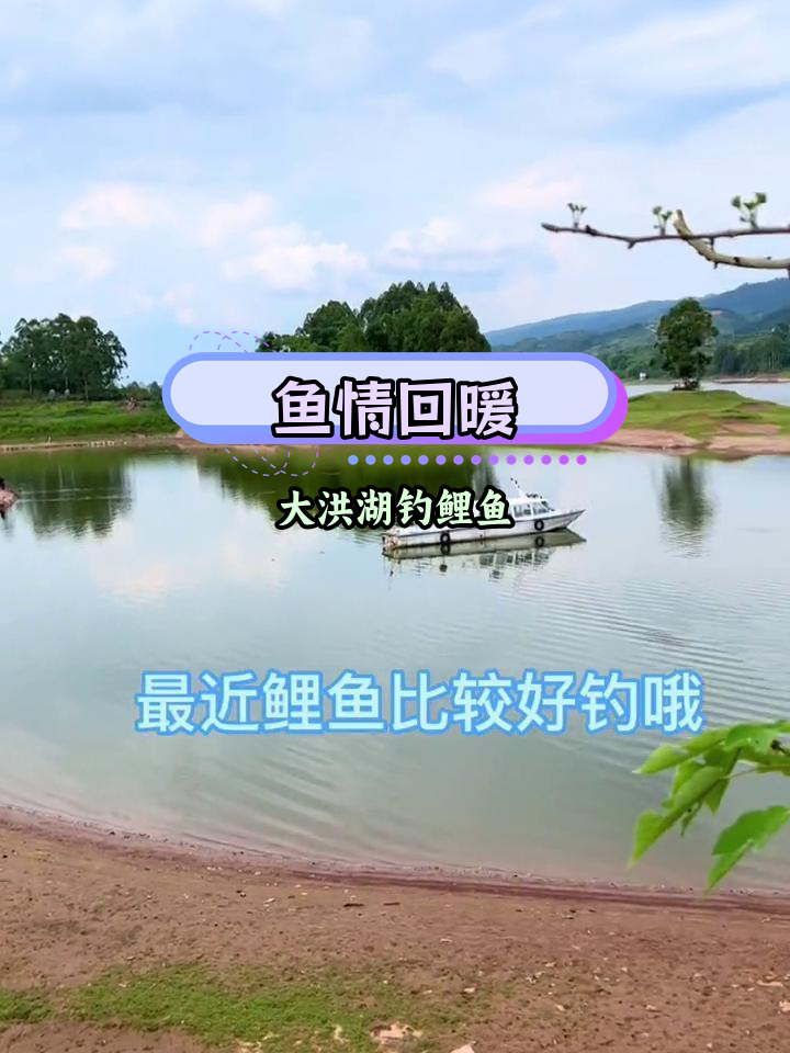大洪湖水位下降,钓鱼好时机来临