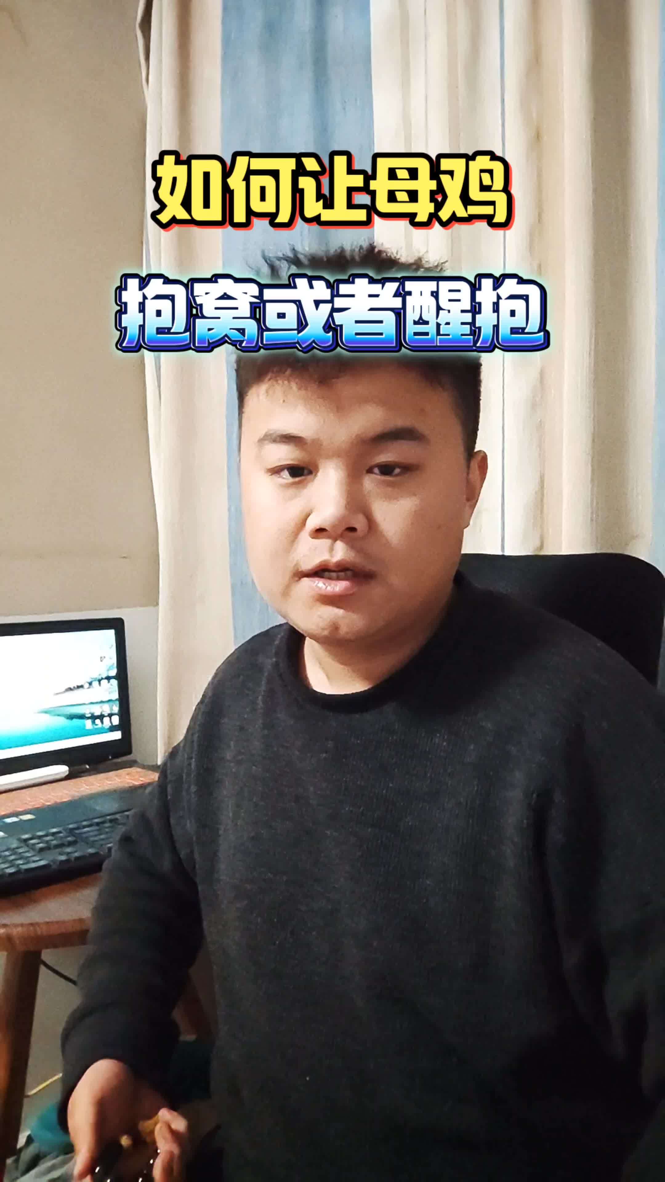 养鸡 养鸡技术 生态散养土鸡 散养土鸡 农村散养土鸡