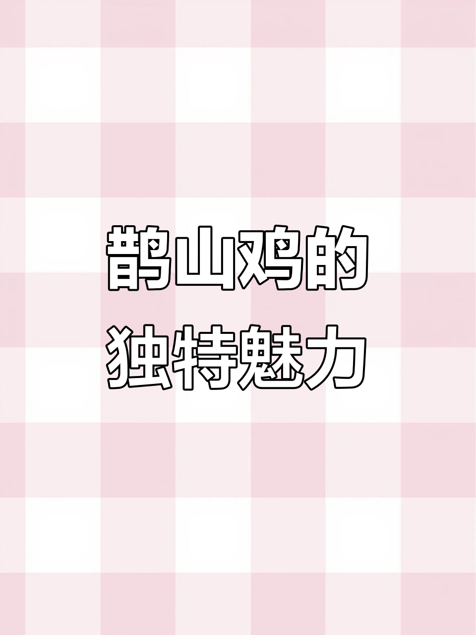 鹊山鸡:两千多年历史的珍稀品种,山地放养最合适