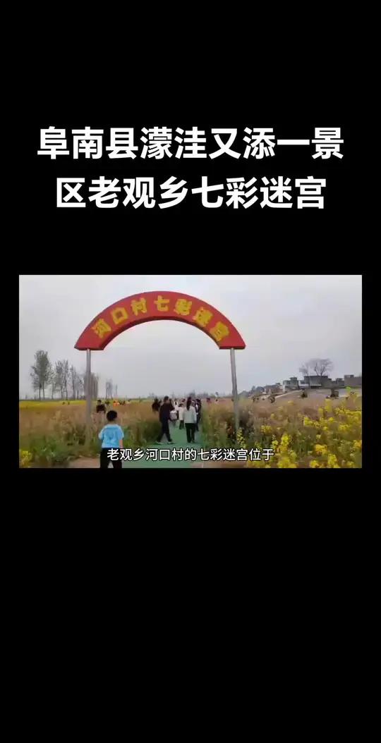 阜南县濛洼又添一景区老观乡七彩迷宫 老观乡河口村的七彩迷宫位于安徽省阜阳市阜南县蒙洼腹地,