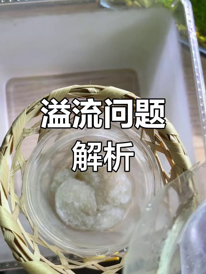 从零开始学养鱼,了解溢流原因与避免方法