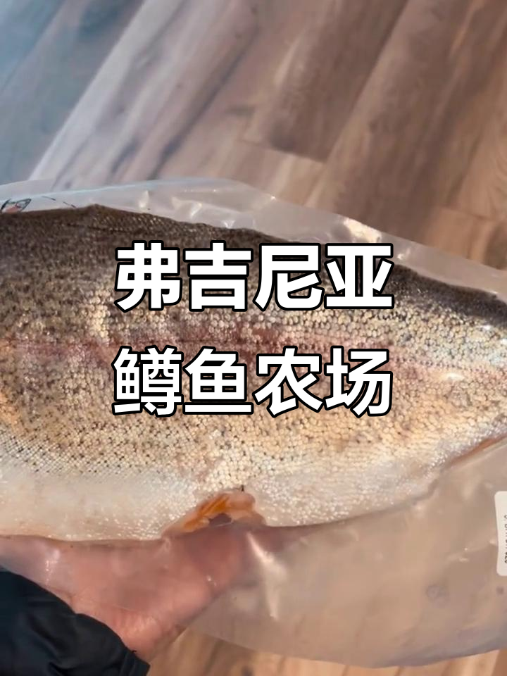 探访弗吉尼亚州鳟鱼养殖场,了解水产业背后的故事