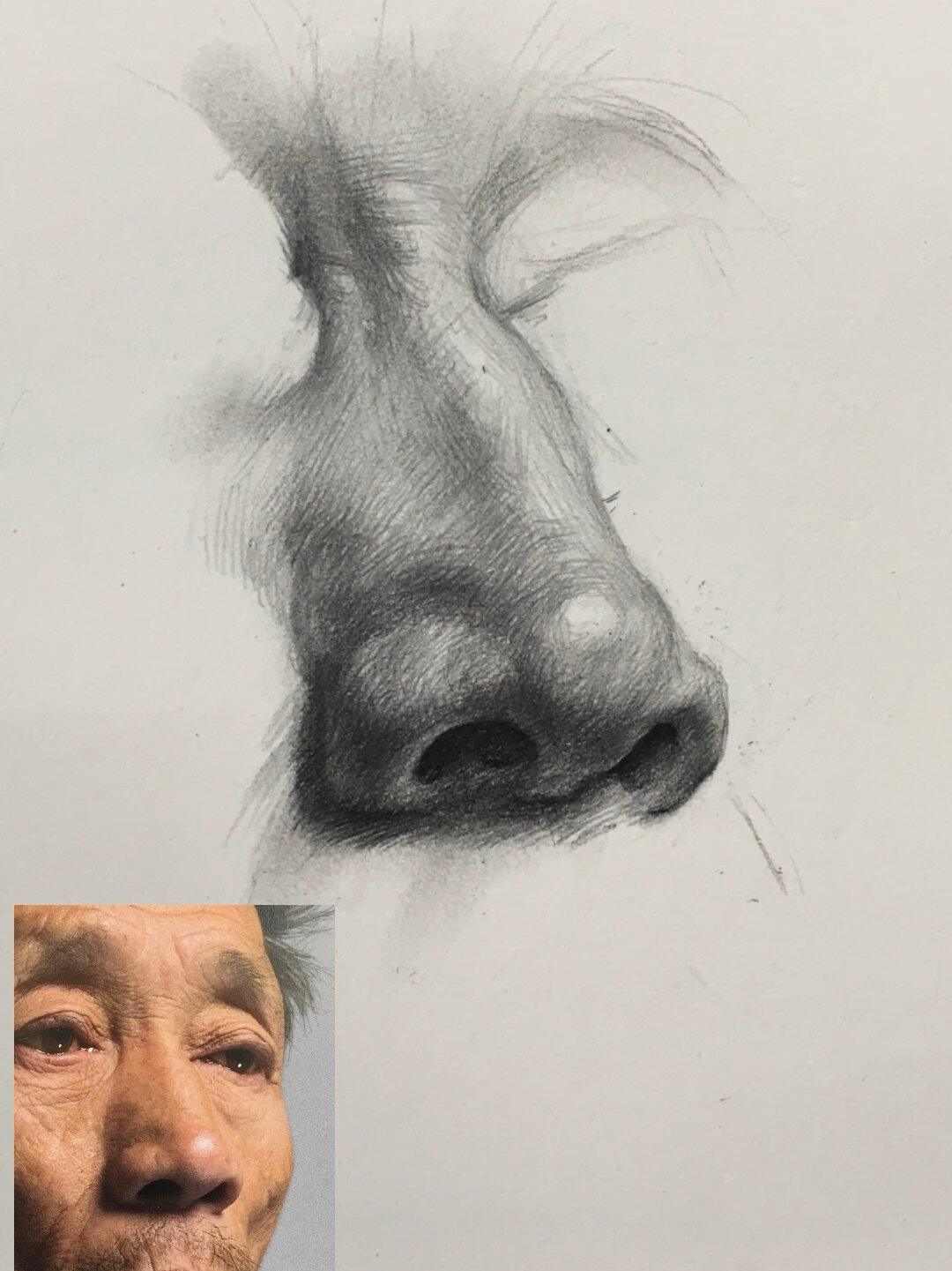 「素描五官」鼻子画法,详解