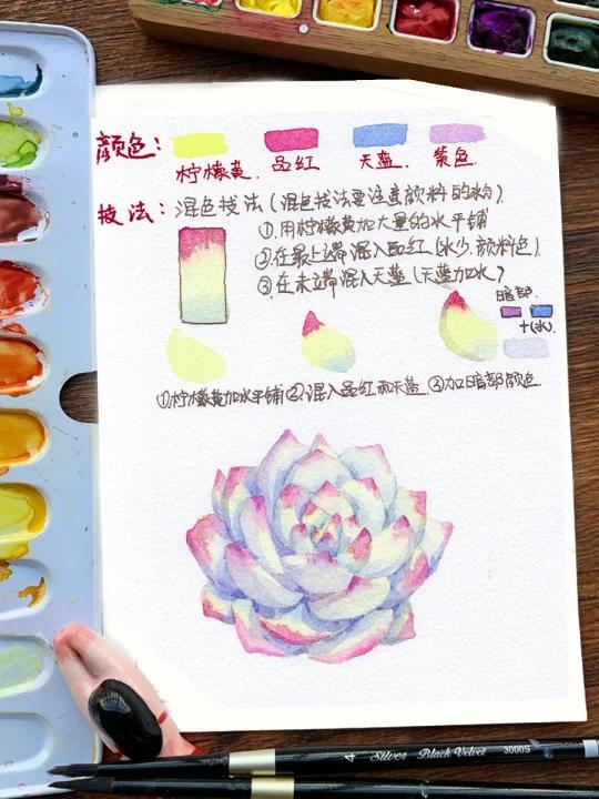 水彩解析式教程:一颗简单的多肉画法