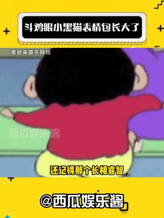 斗鸡眼小黑猫表情包长大了 娱乐评论大赏 猫咪 表情包 万恶之源表情包 宝宝辅食