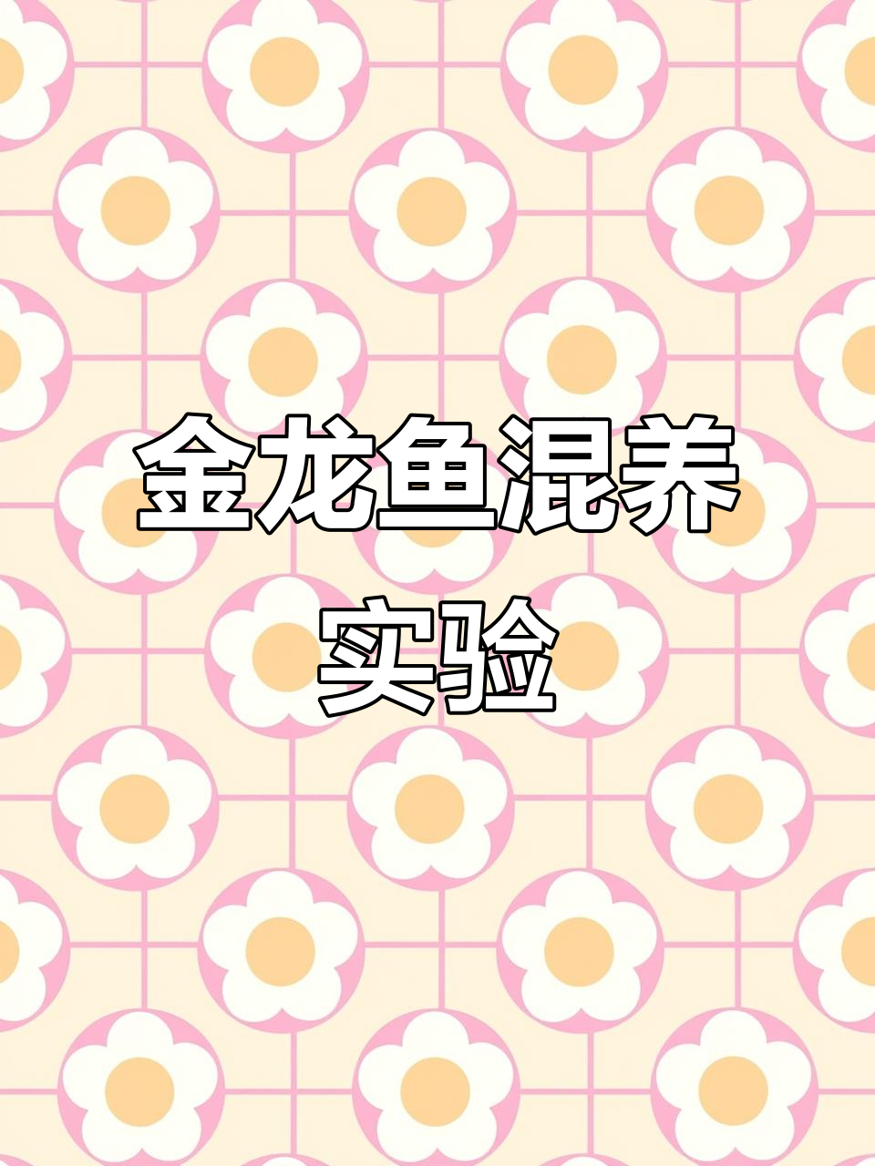 混养金龙鱼,会不会变成自助餐?