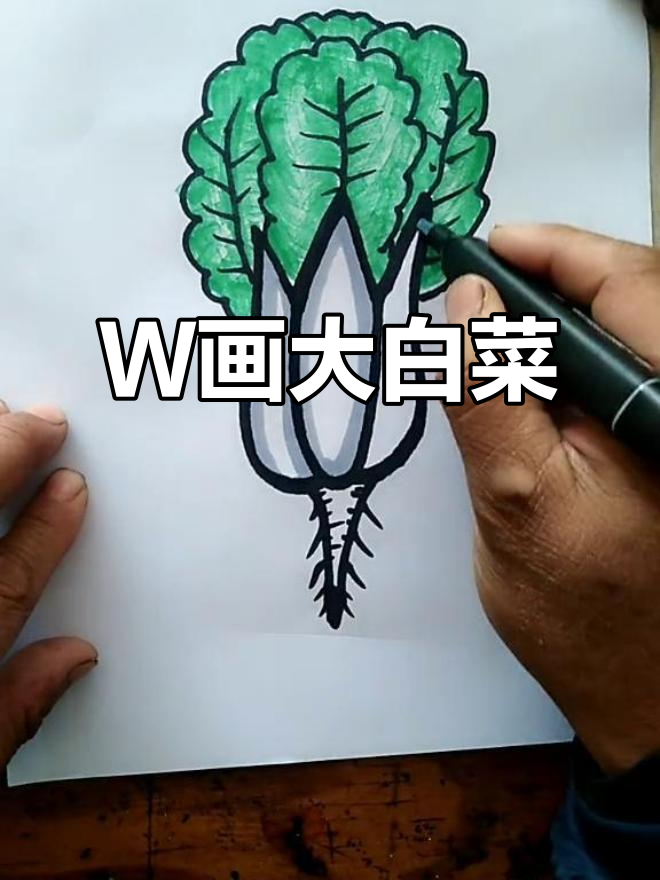 用W笔画可爱大白菜,简单又好玩
