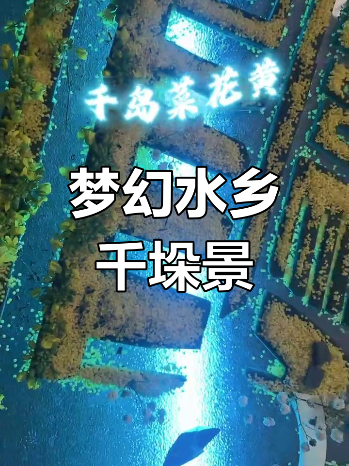 走进千垛菜花,领略水乡风情
