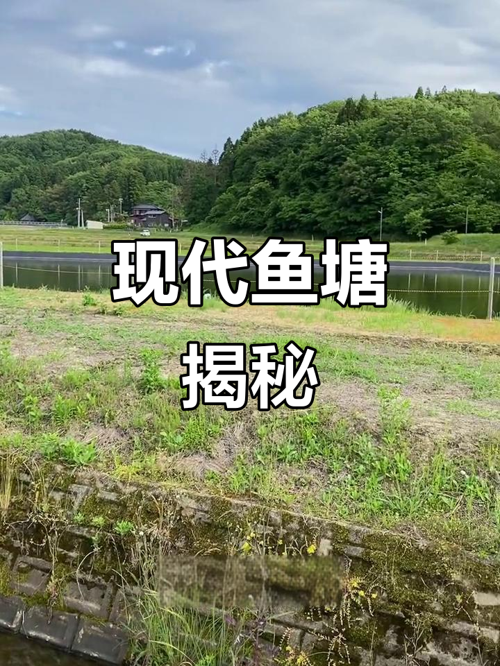 日本鱼塘设计精巧，排水系统完善，堪称现代化农业典范