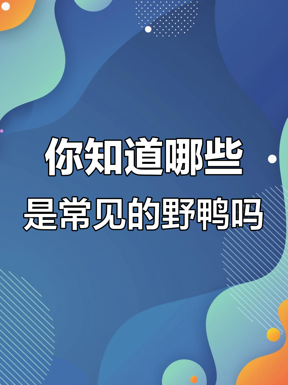农村常见野鸭大揭秘:你认识几种?