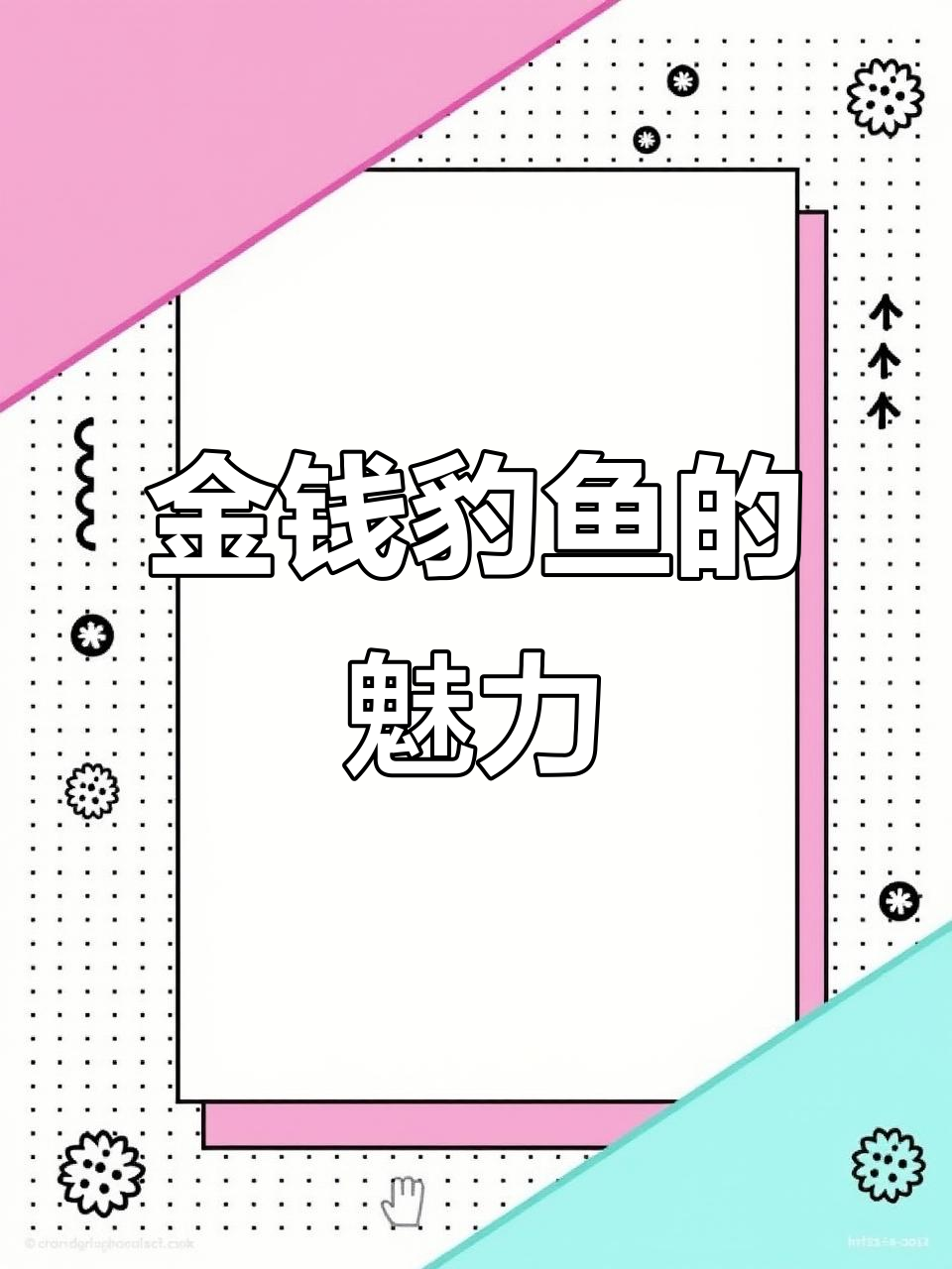 德州豹鱼：猛烈强悍的观赏利器，珍珠斑纹惊艳登场