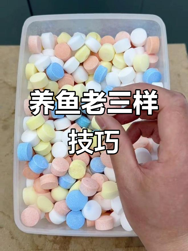 鱼缸水质管理全攻略:换水、升温、下盐,预防胜于治疗