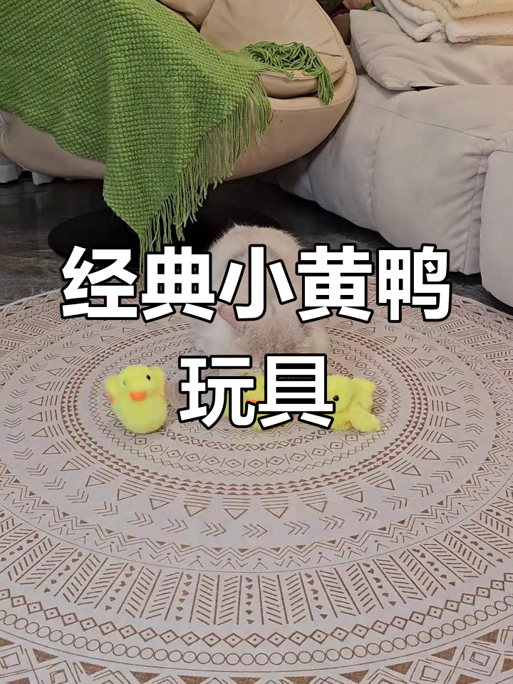 小黄鸭玩具,USB充电超耐用,会叫会动逗猫神器
