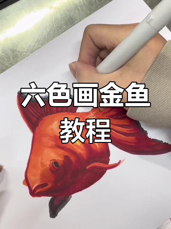 用六个颜色画出可爱金鱼,简单步骤教你轻松上手