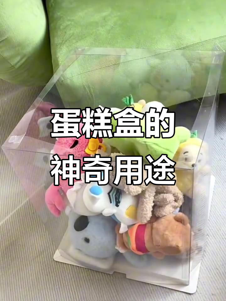 蛋糕盒变神器,生活小妙用大揭秘