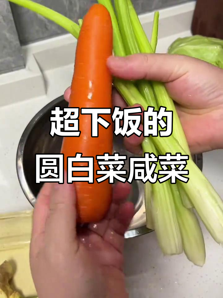 简单又好吃的圆白菜咸菜,腌上一晚上就能吃!
