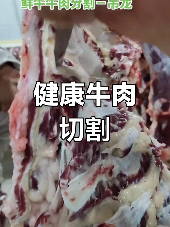 新鲜牛肉分割与排酸过程揭秘
