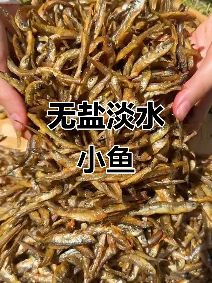 湖南淡水小公鱼,无泥沙盐分,炒炸都鲜美