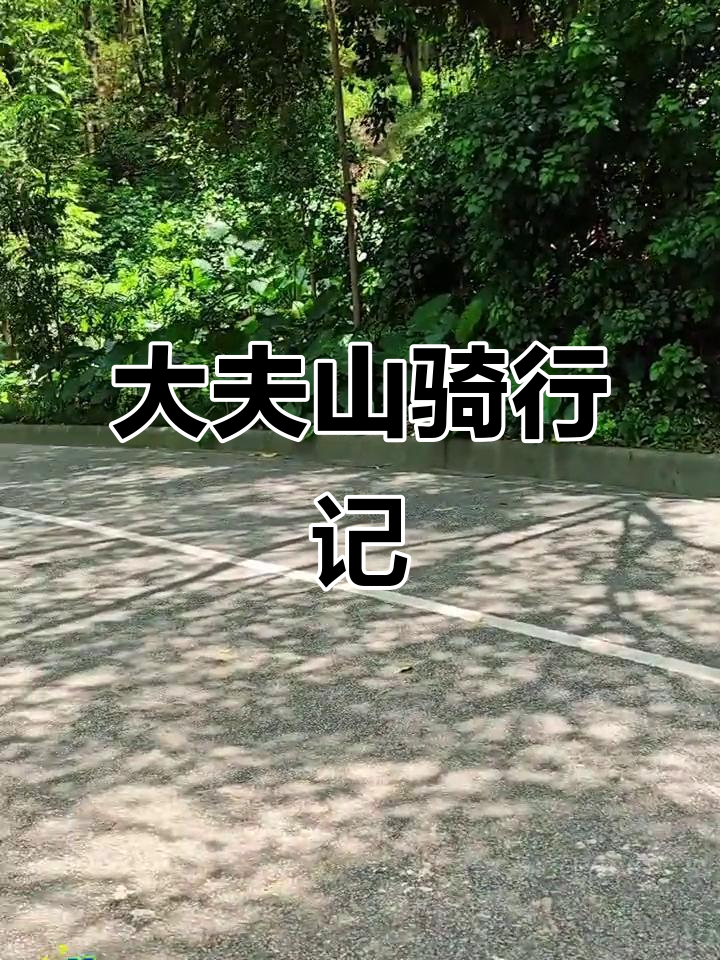 广州大夫山半日游,骑车、赏景、喝广式下午茶