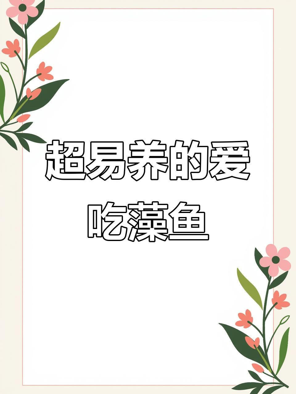 零成本超好养的爱吃藻小鱼仔,轻松上手!