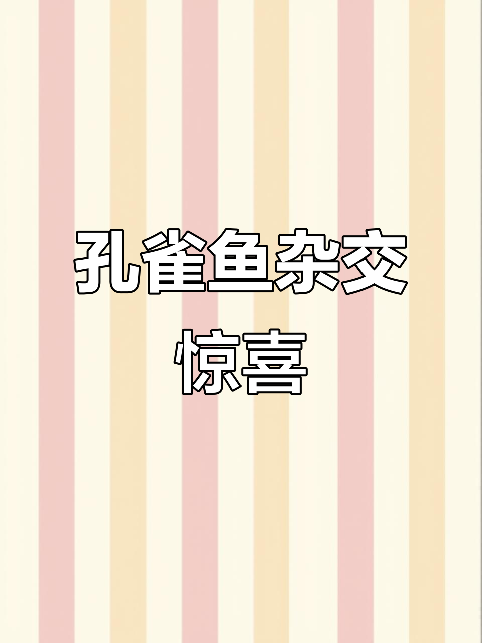 孔雀鱼杂交，蓝尾与大耳碰撞出惊艳新品种！