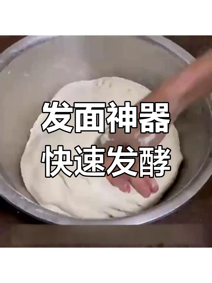 冬季发面神器,智能控温发酵箱轻松搞定馒头面团
