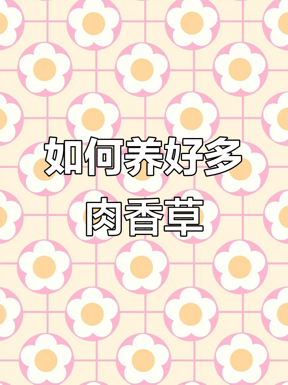 香草多肉养护全攻略：温度、光照、浇水一网打尽