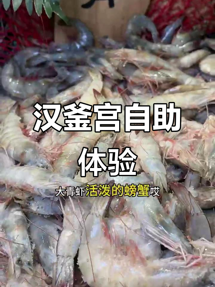 让区万达汉釜宫自助:新鲜海鲜与特色烤肉的完美结合