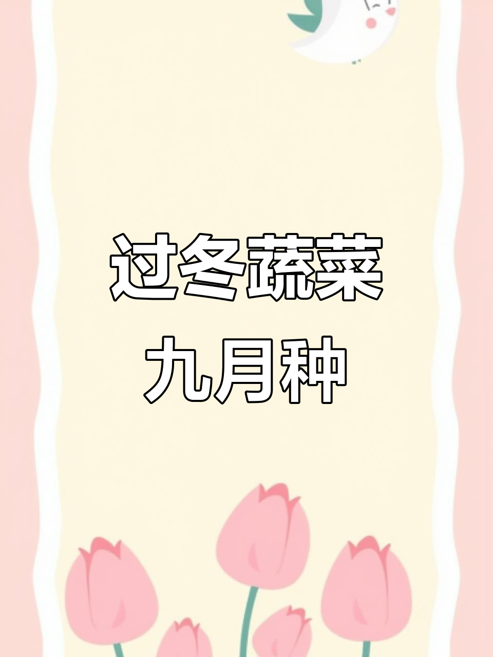 九月份适合种植的过冬蔬菜,快来了解一下