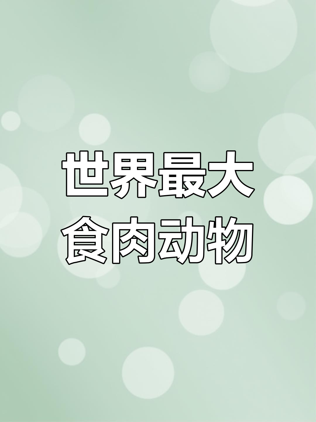 北极熊:陆地上最大的食肉动物