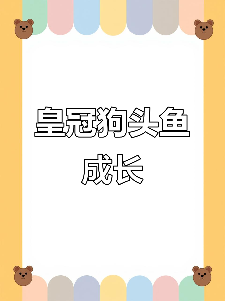 小吃货慢慢长大,皇冠狗头鱼苗成长记