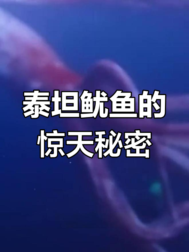 深海巨型鱿鱼现身,挑战抹香鲸!