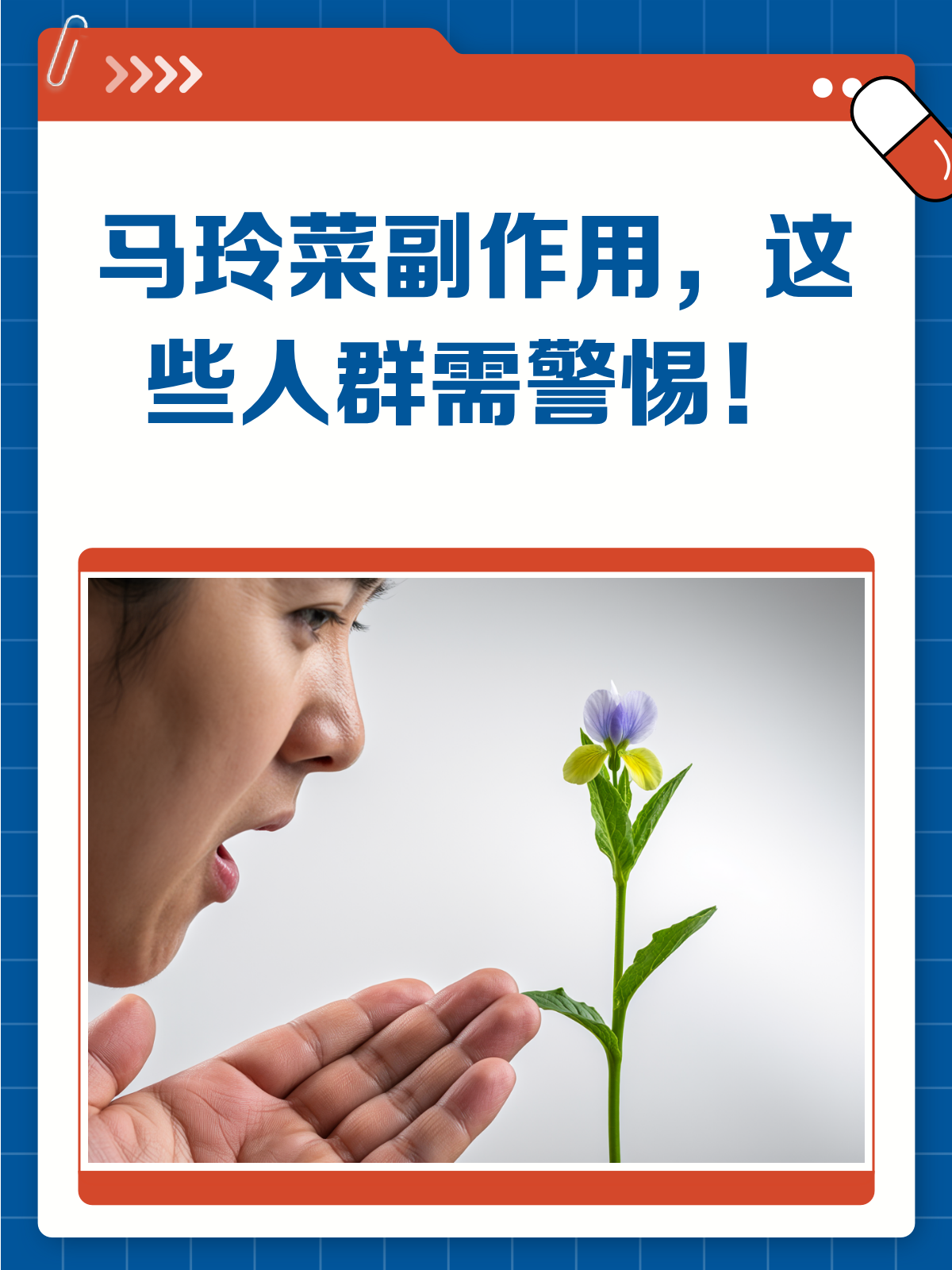 马玲菜虽好，但这几类人吃可要小心！