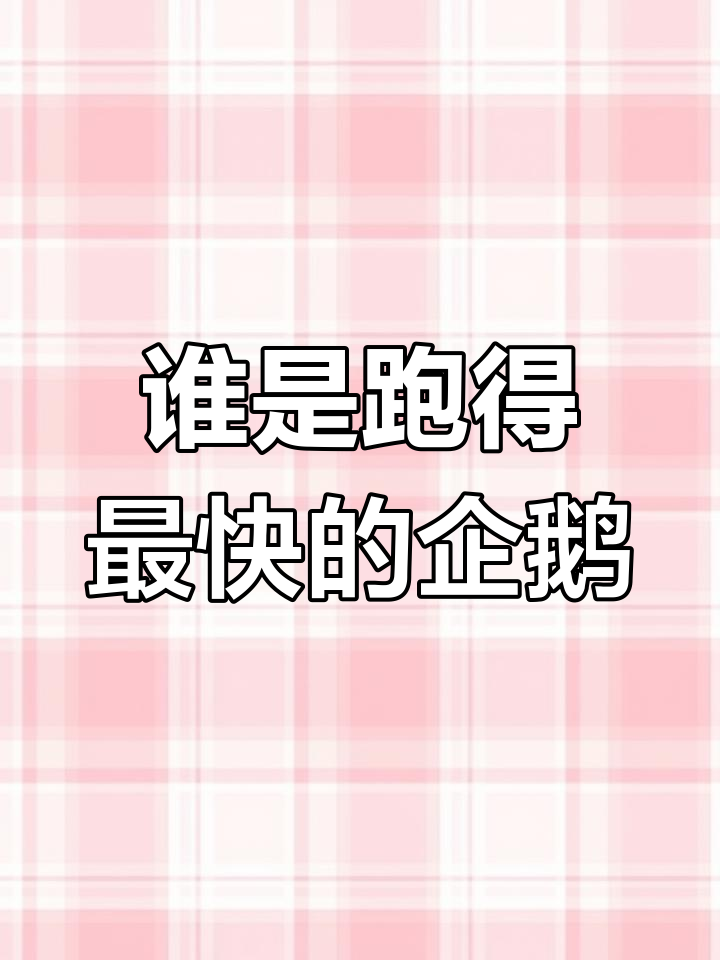企鹅赛跑大比拼,谁才是最快?