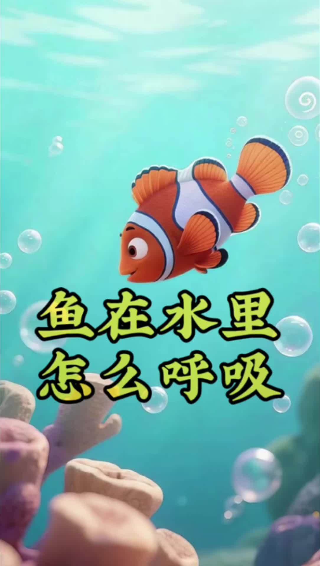 创作灵感《鱼在水里怎么呼吸》儿童绘本故事 亲子阅读 儿童启蒙教育 睡前故事
