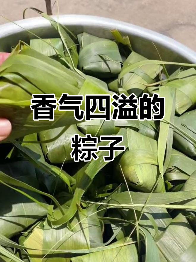 芦苇叶包裹的蜜枣粽子，清香扑鼻，真是无法抗拒的美味！