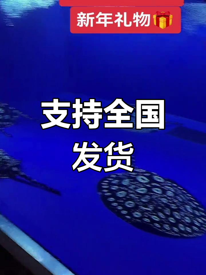魟鱼繁殖与发货支持