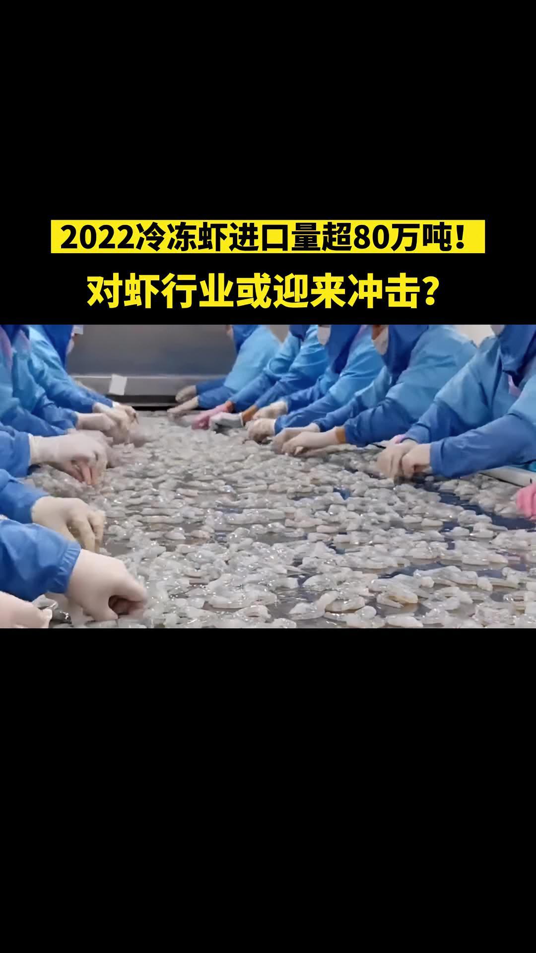 2022我国冷冻虾进口量超80万吨!会对国产虾造成何种冲击?虾价还会好吗?水产养殖 南美白