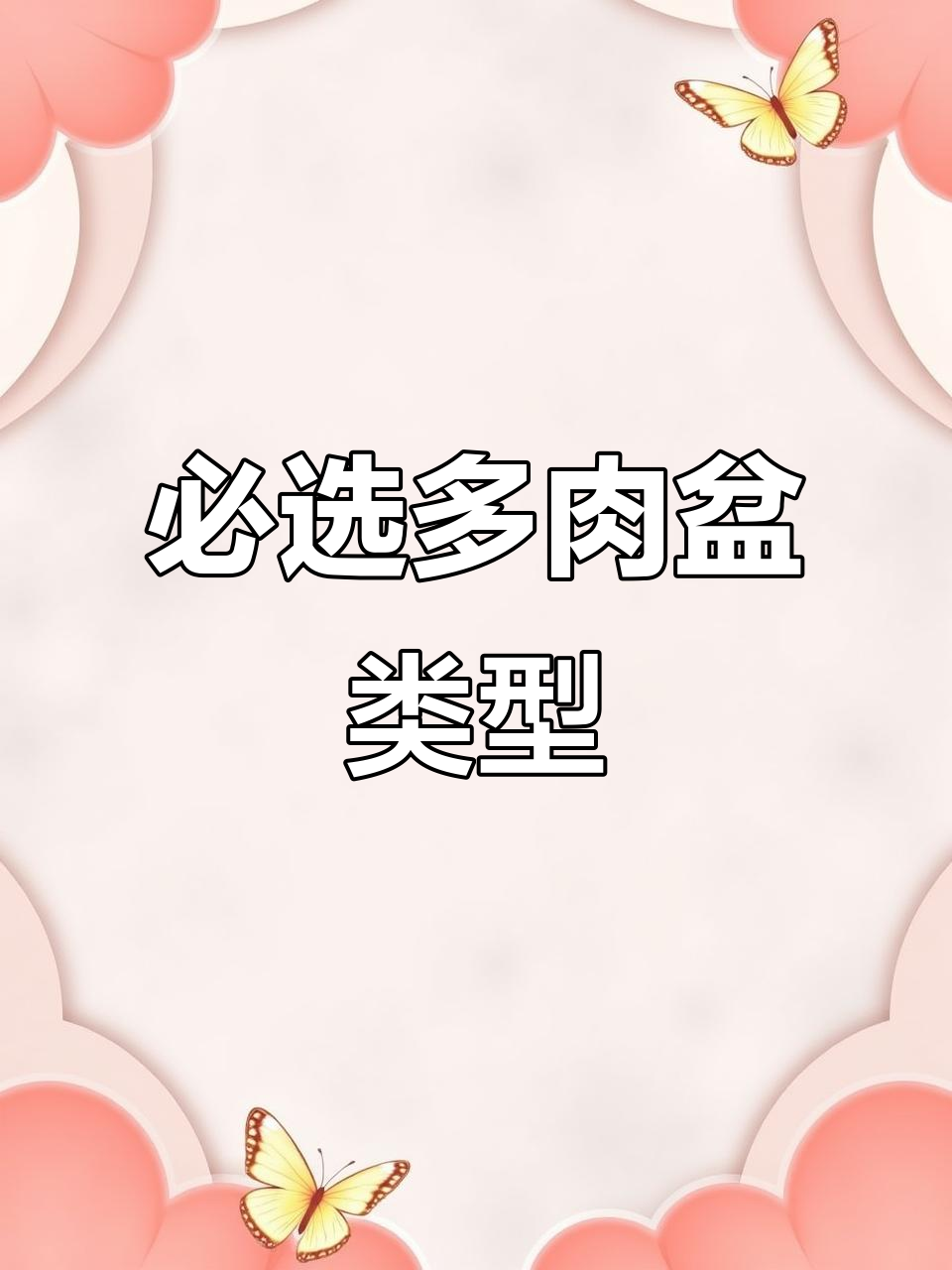 多肉盆推荐：透气、实用又美观的三种选择